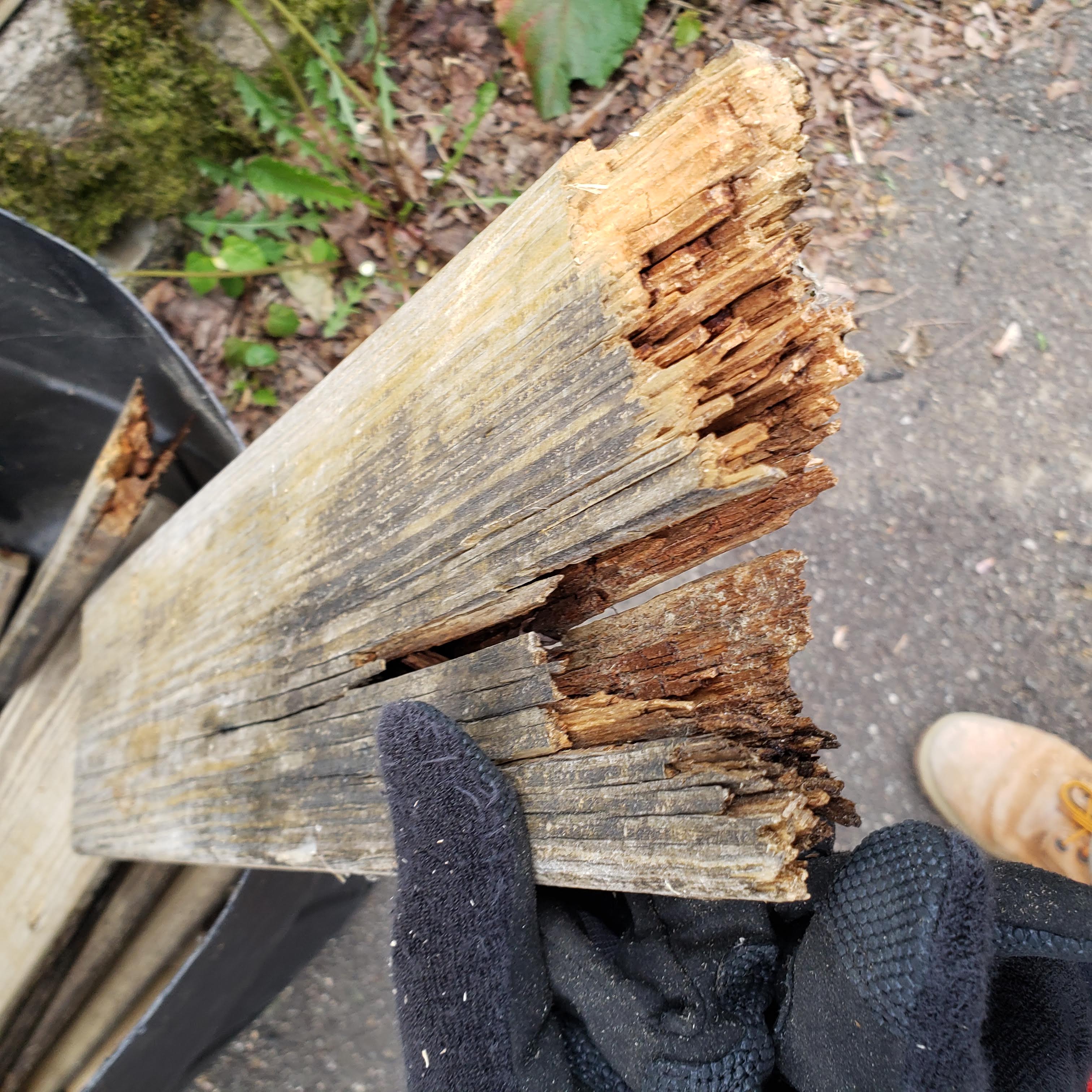 Cross-section of a rotted pressure-treated deck board — weathered gray exterior with severely deteriorated interior