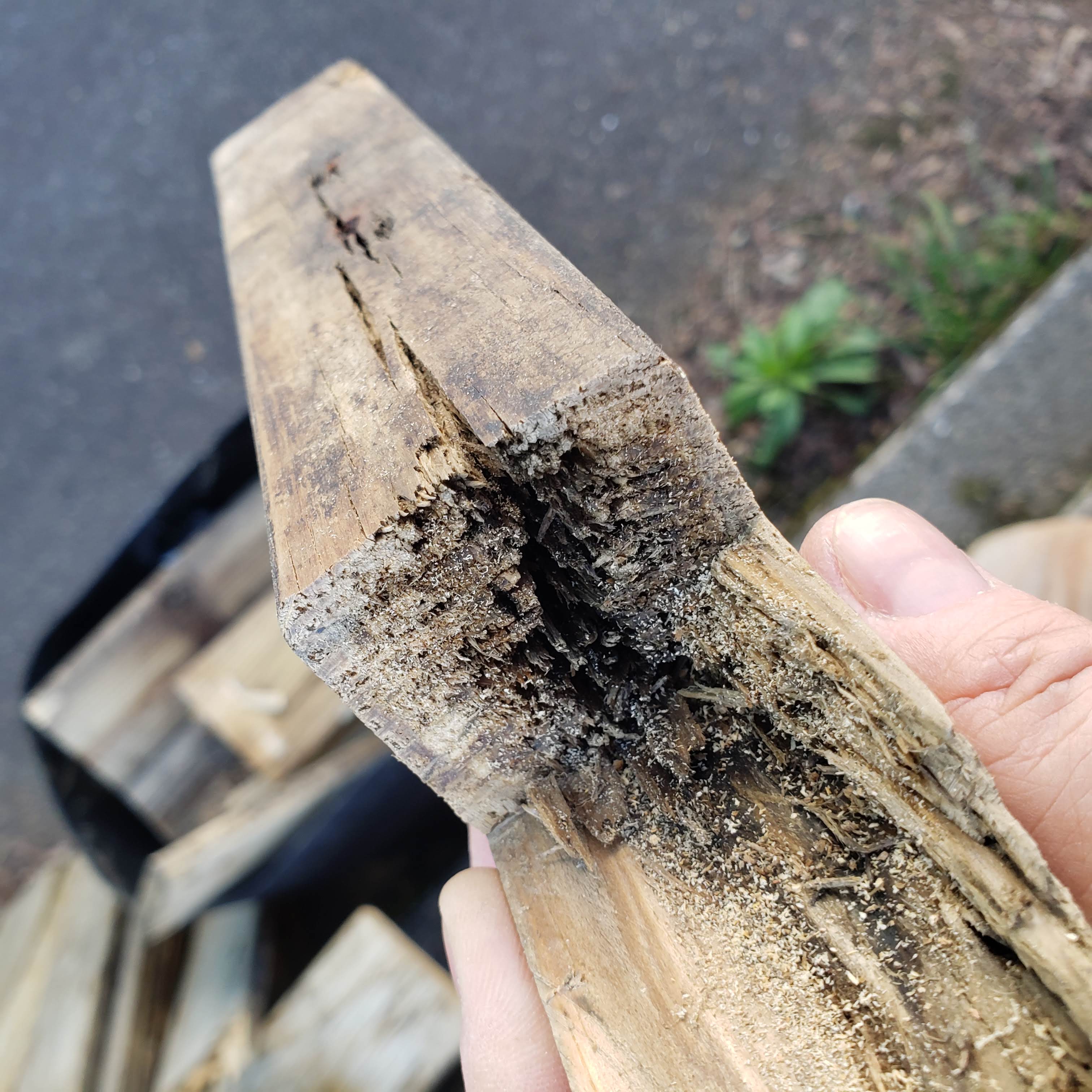 Close-up of a severely rotted deck joist showing advanced black wet rot and complete structural failure